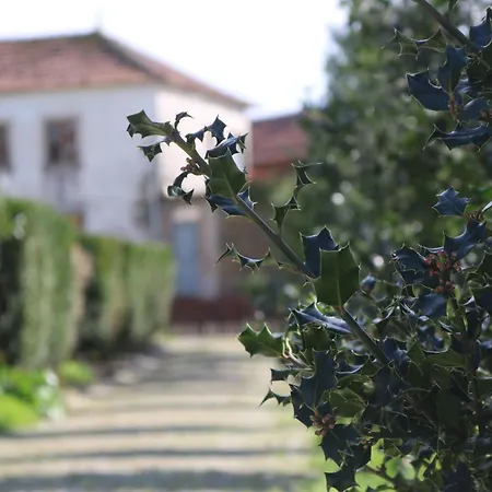 Casa Eira De Pedra In 30km From Porto 펜션 Medas